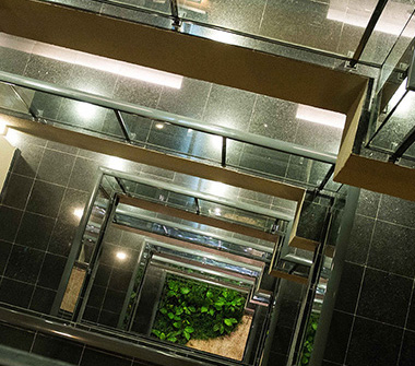 Foto das escadas