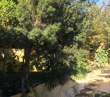 Imagem imóvel Casa - Vila Madalena - São Paulo