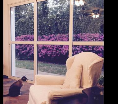 Imagem imóvel Casa de condomínio - Alphaville Residencial - Barueri