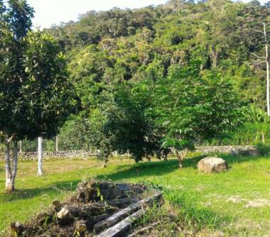 Imagem imóvel Terreno - Horto Florestal - Ubatuba