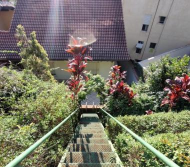 Imagem imóvel Casa - Centro - São Roque